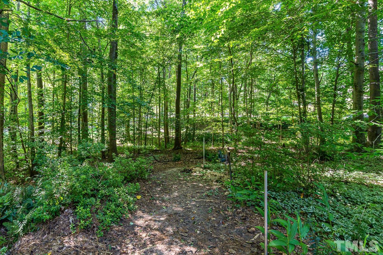 8600 Lawn Court Raleigh, NC 27613 - Photo 7 of 31 a view of forest