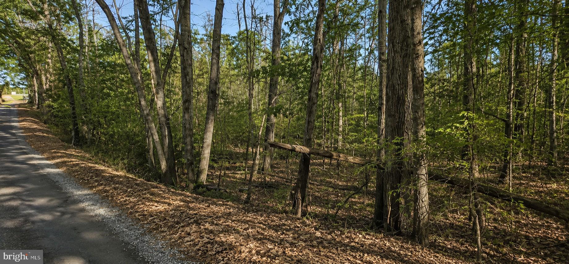 0 Buggy Lane Rochelle, VA 22738 - Photo 5 of 5