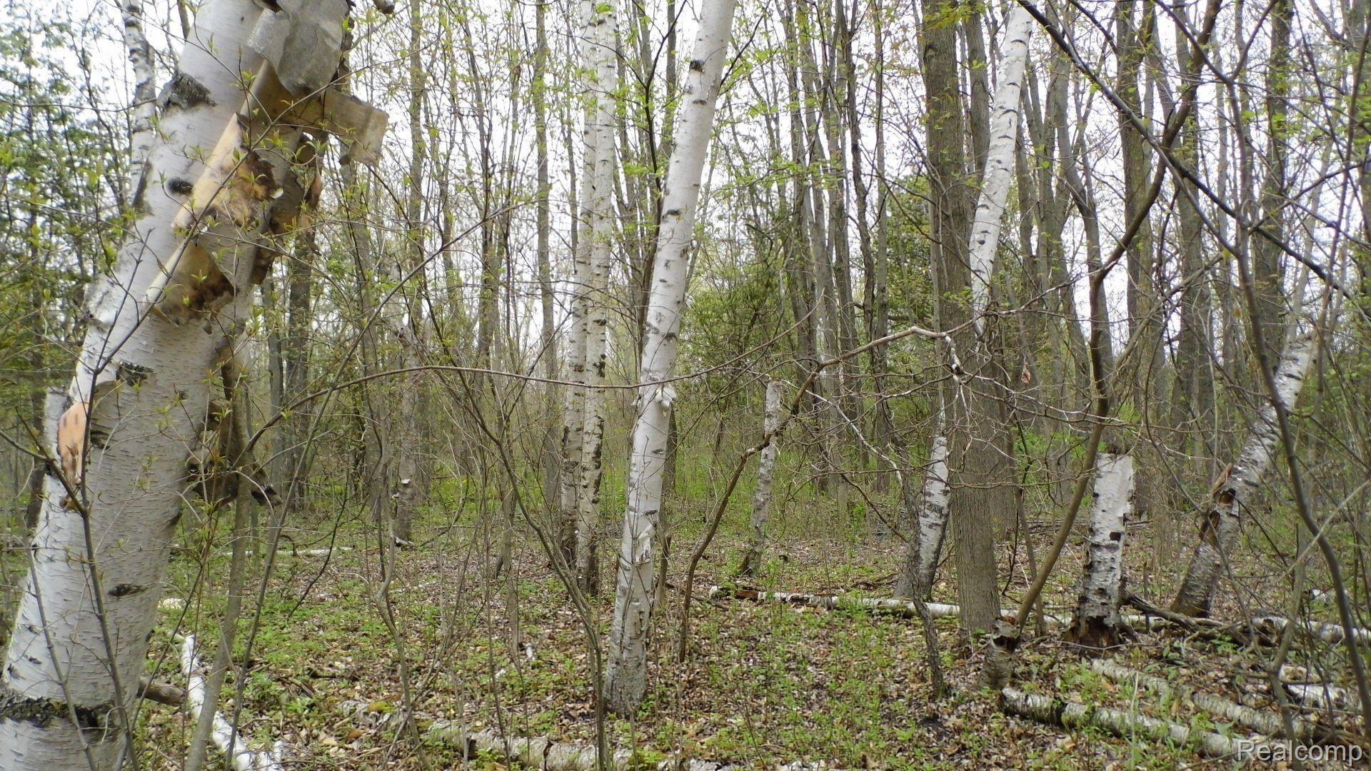 614 East Brown Road Mayville, MI 48744 - Photo 10 of 13 SANY0024.JPG