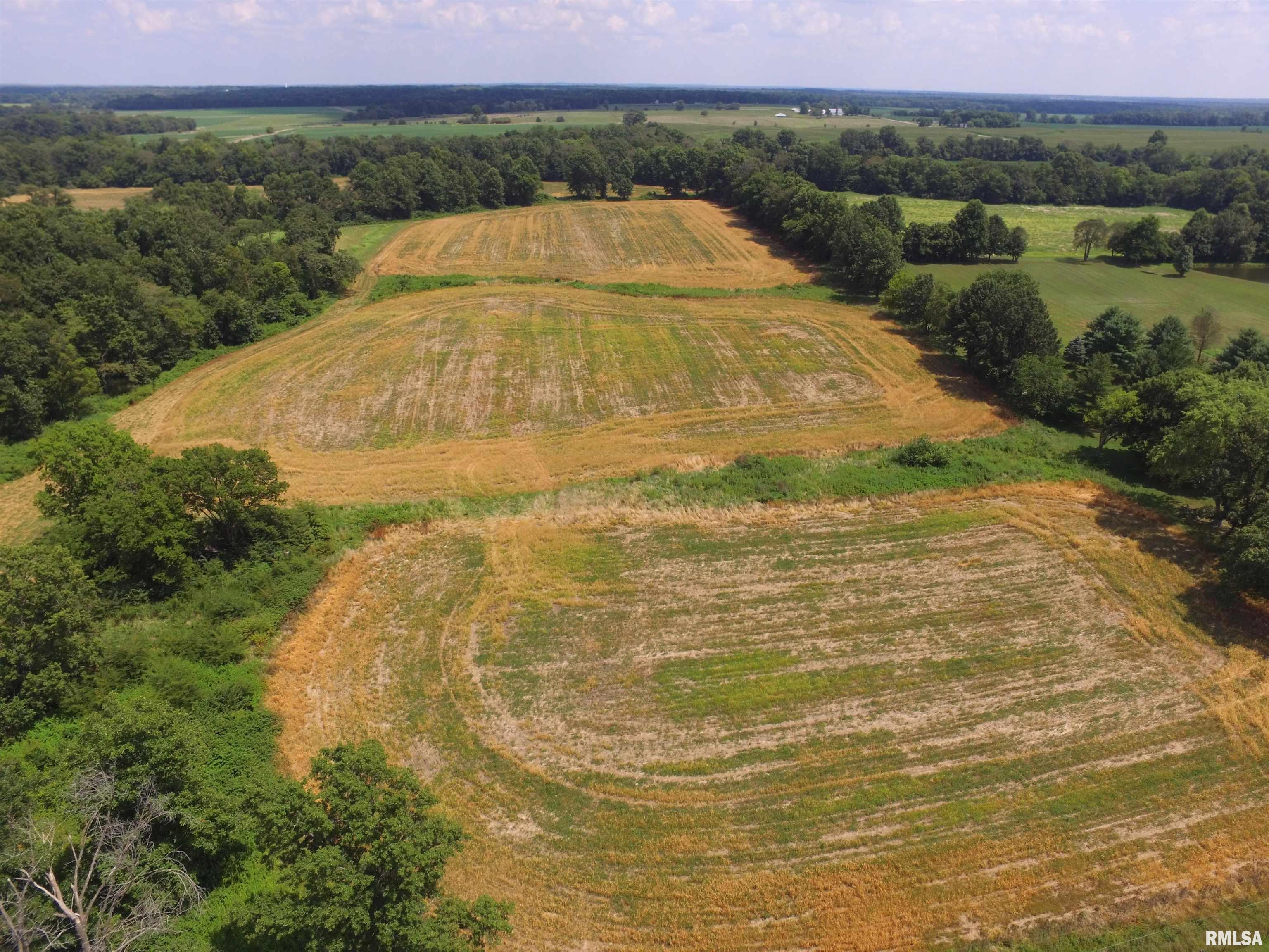 0 State Route 37 Highway Kell, IL 62853 - Photo 3 of 6