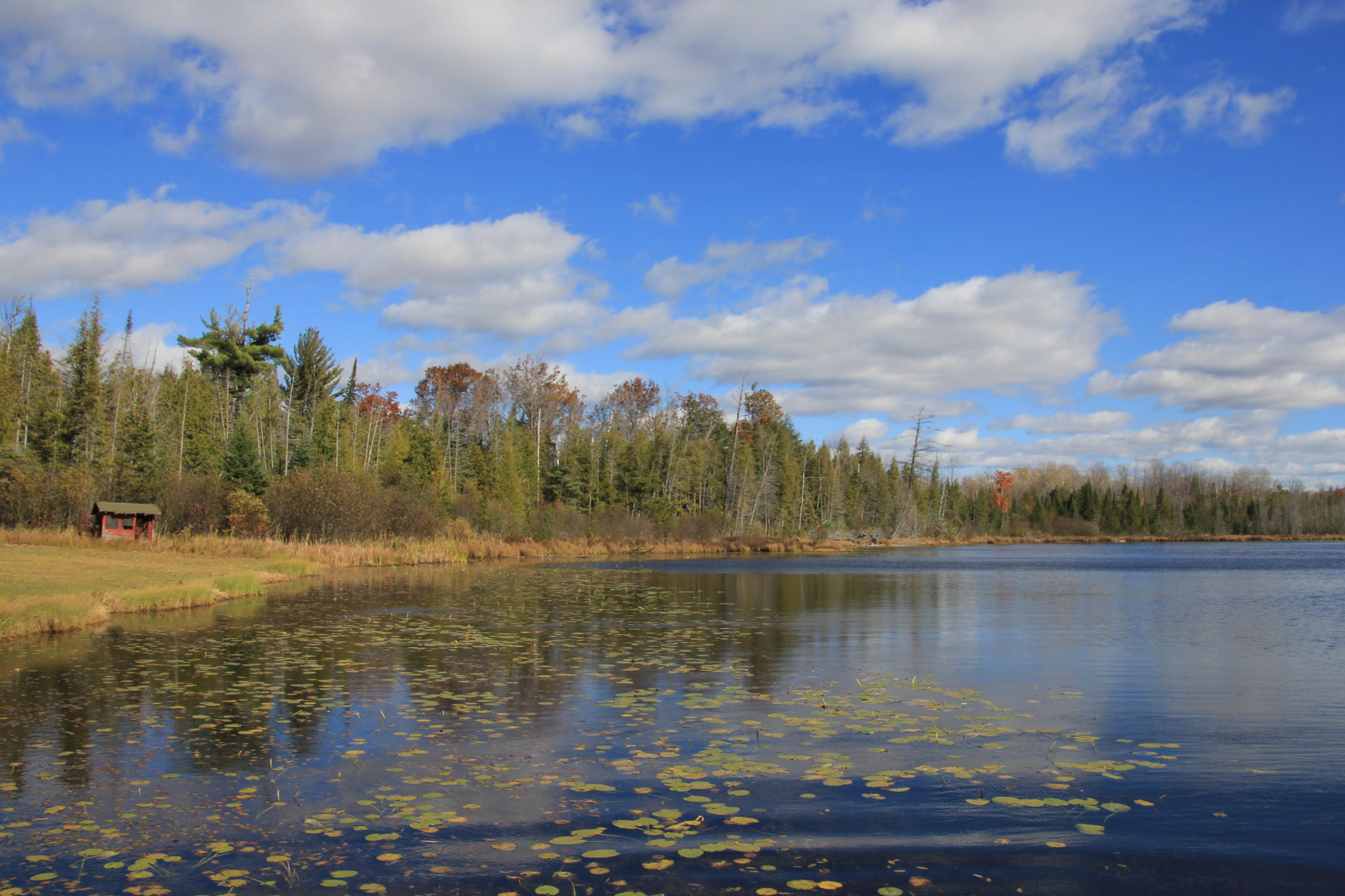 7158 East County Line Road South Branch, MI 48761 - Photo 15 of 39 Gallery Image 15