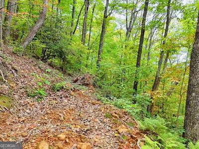 Lot 30 Skyview Drive Hayesville, NC 28904 - Photo 6 of 9 a view of a garden