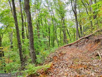 Lot 30 Skyview Drive Hayesville, NC 28904 - Photo 7 of 9 a view of a garden with plants