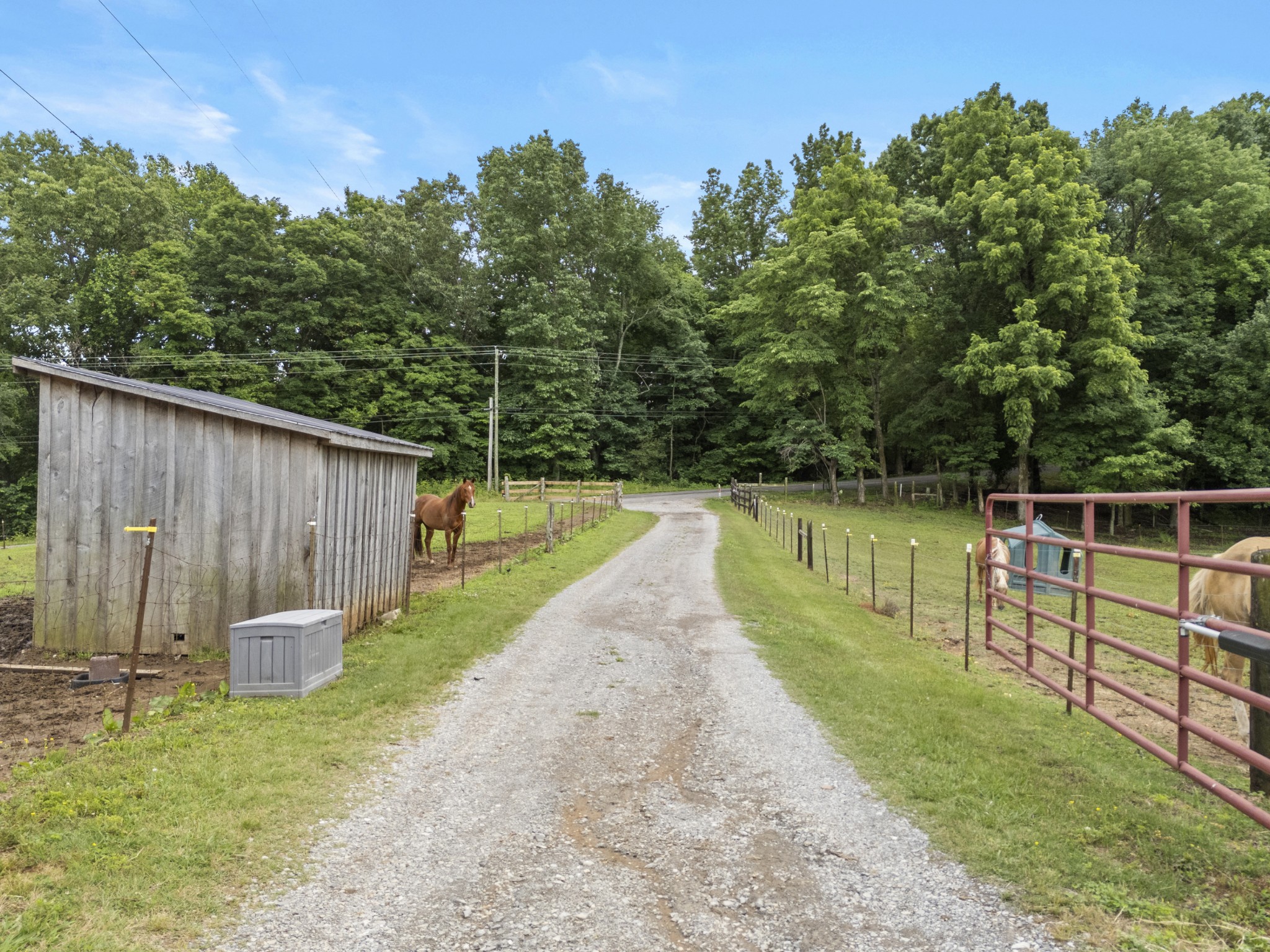1126 Cedar Creek Road Vanleer, TN 37181 - Photo 15 of 38