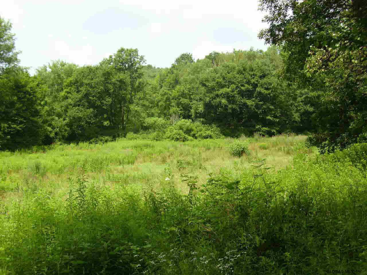 153 County Rt Salem, NY 12865 - Photo 1 of 6 Photo 1