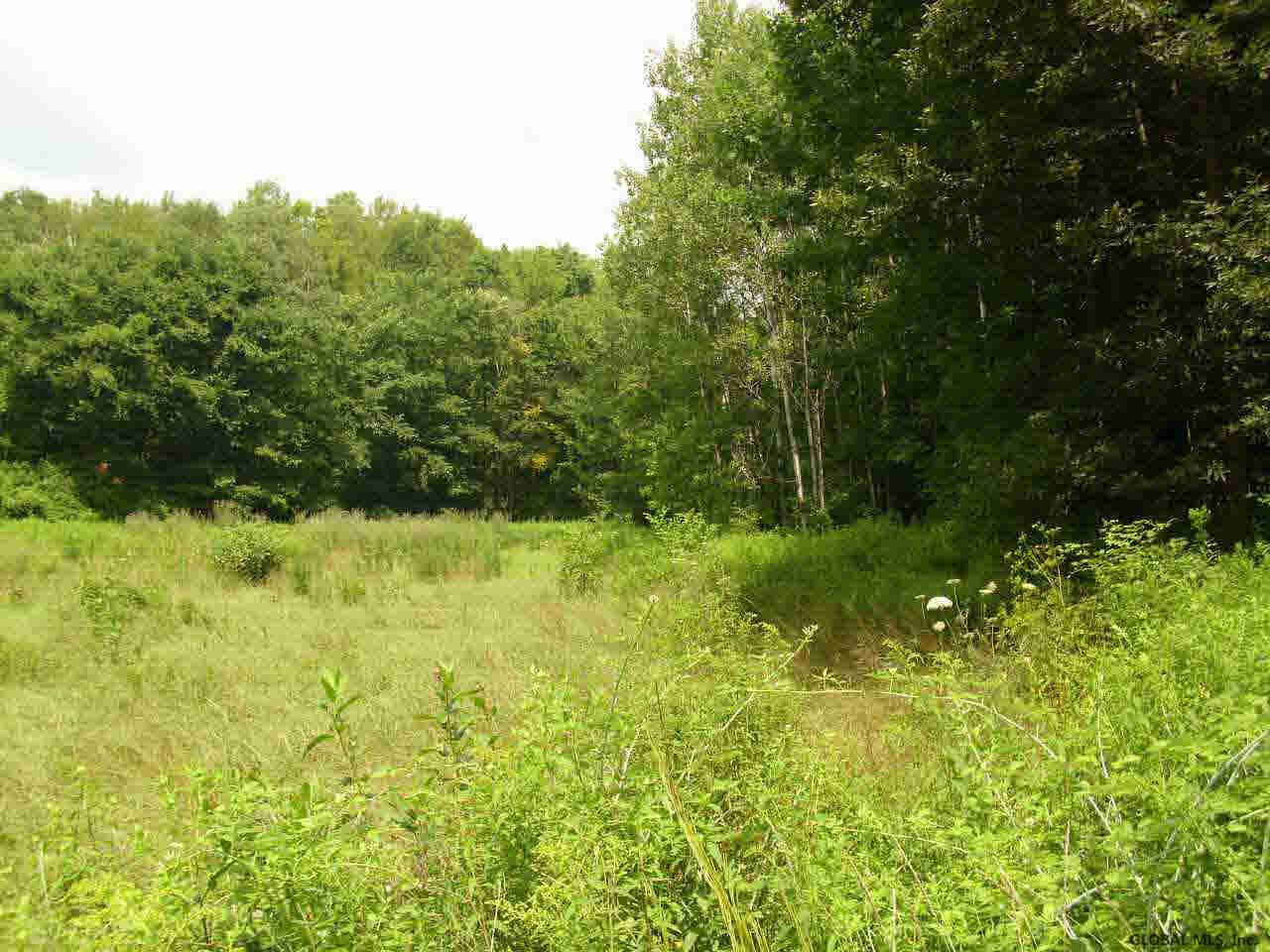 153 County Rt Salem, NY 12865 - Photo 3 of 6 Photo 3