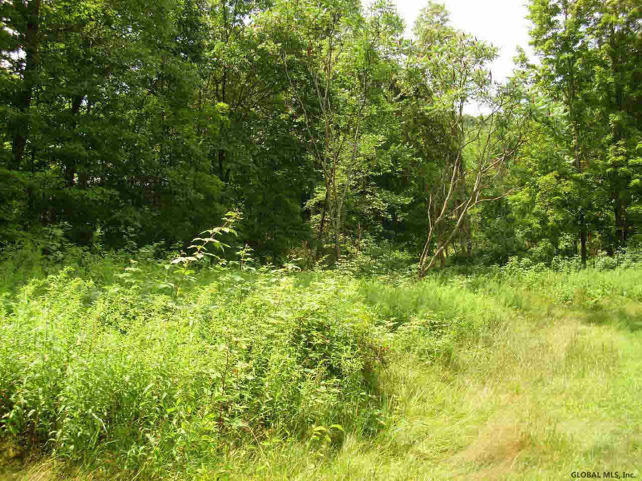 153 County Rt Salem, NY 12865 - Photo 4 of 6 Photo 4