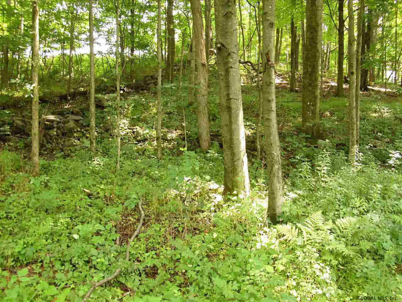 153 County Rt Salem, NY 12865 - Photo 6 of 6 Photo 6