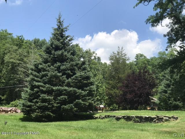 259 Wieboldt Road Cresco, PA 18326 - Photo 15 of 16 Spectacular blue spruce
