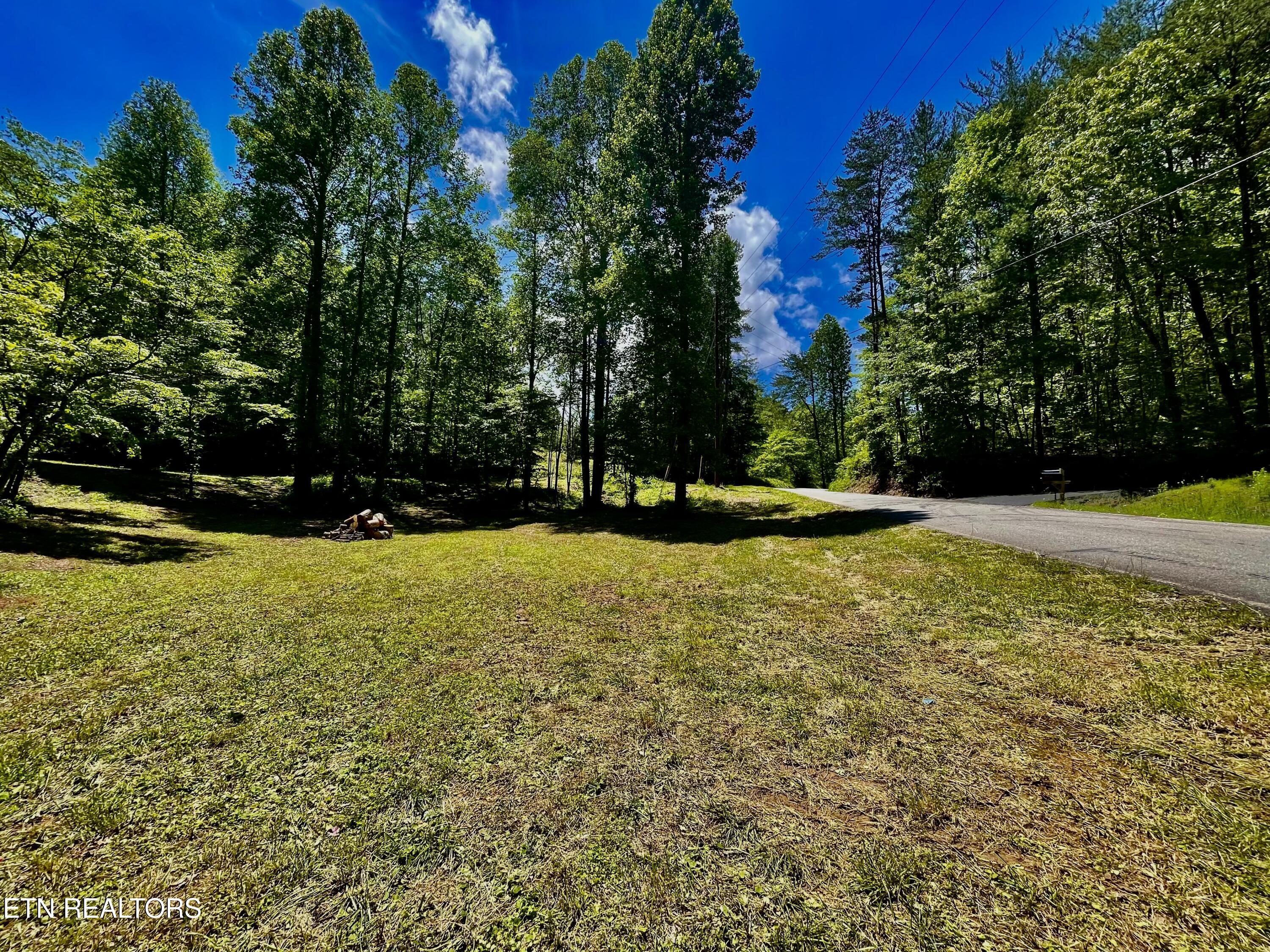 1294 Rafter Road Tellico Plains, TN 37385 - Photo 16 of 59 IMG_4762