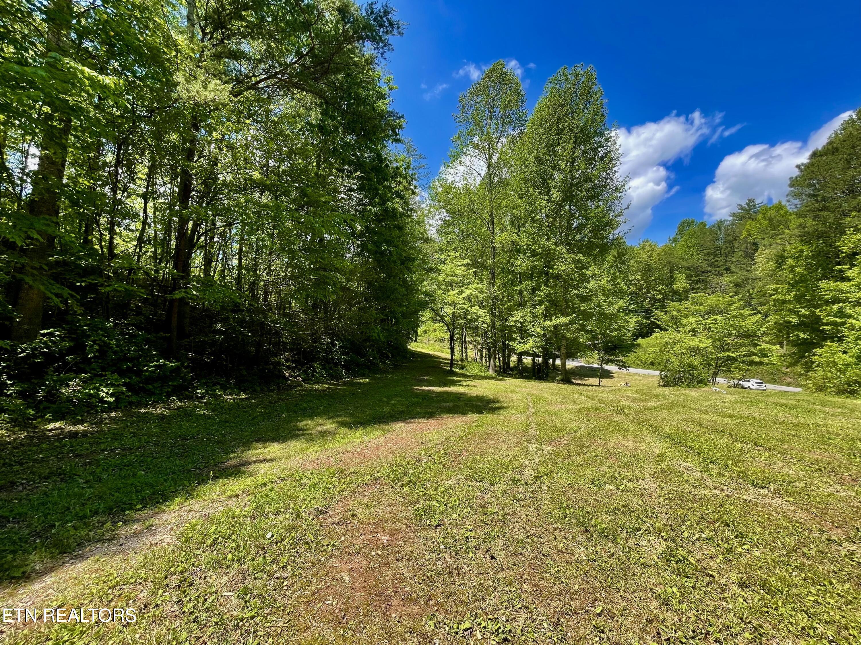 1294 Rafter Road Tellico Plains, TN 37385 - Photo 23 of 59 IMG_4751