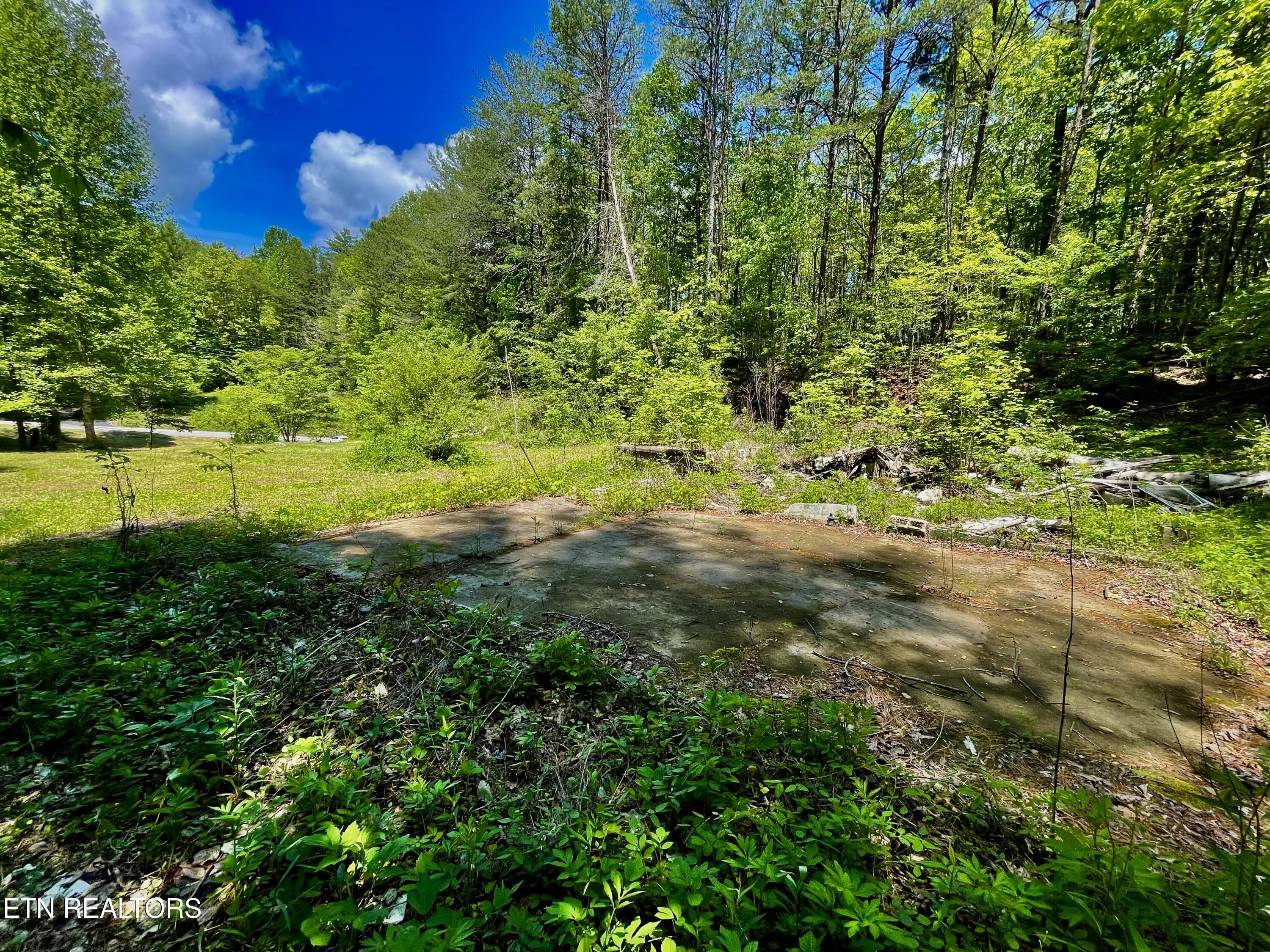 1294 Rafter Road Tellico Plains, TN 37385 - Photo 25 of 59 IMG_4749
