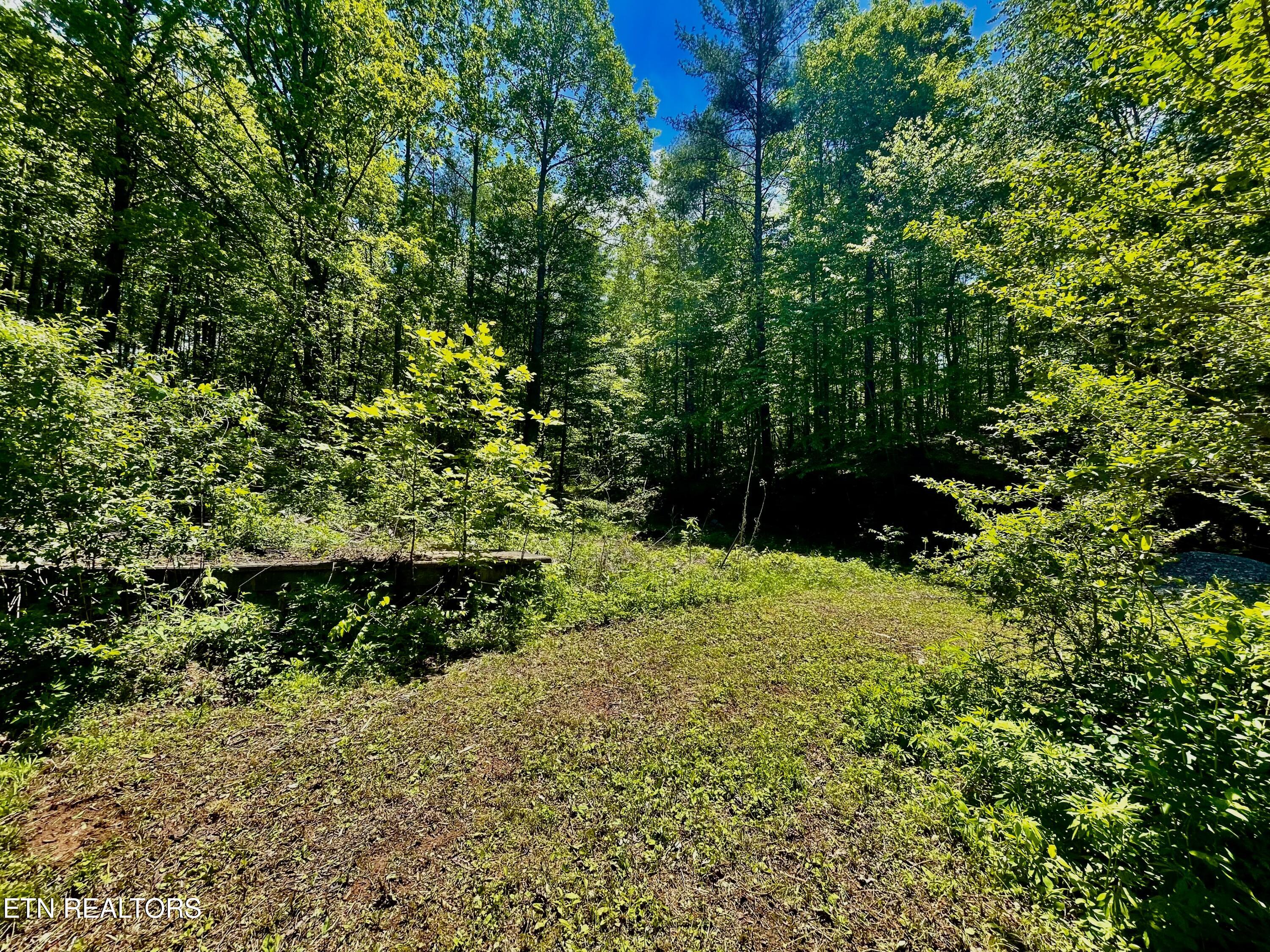 1294 Rafter Road Tellico Plains, TN 37385 - Photo 34 of 59 IMG_4740