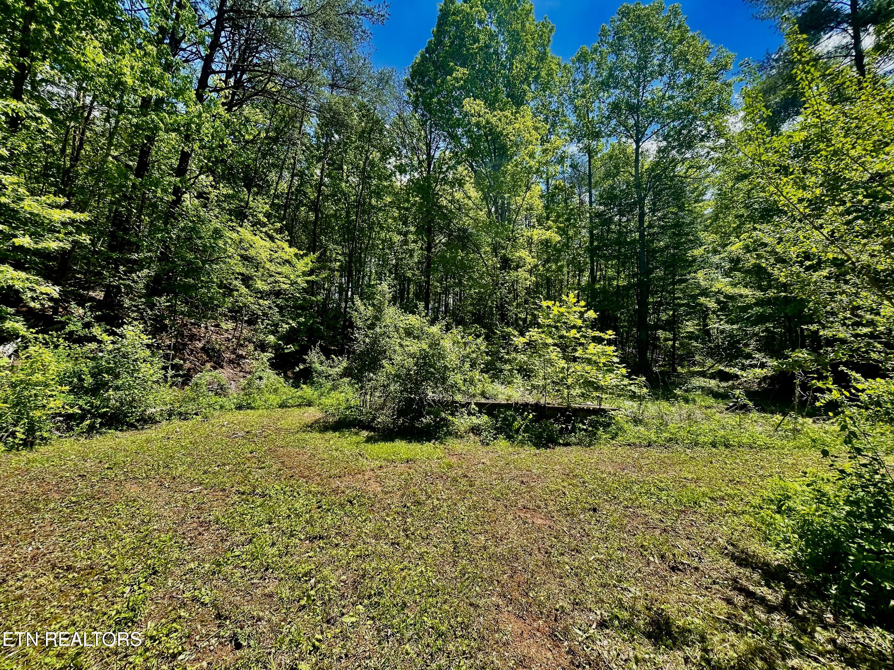 1294 Rafter Road Tellico Plains, TN 37385 - Photo 35 of 59 IMG_4739