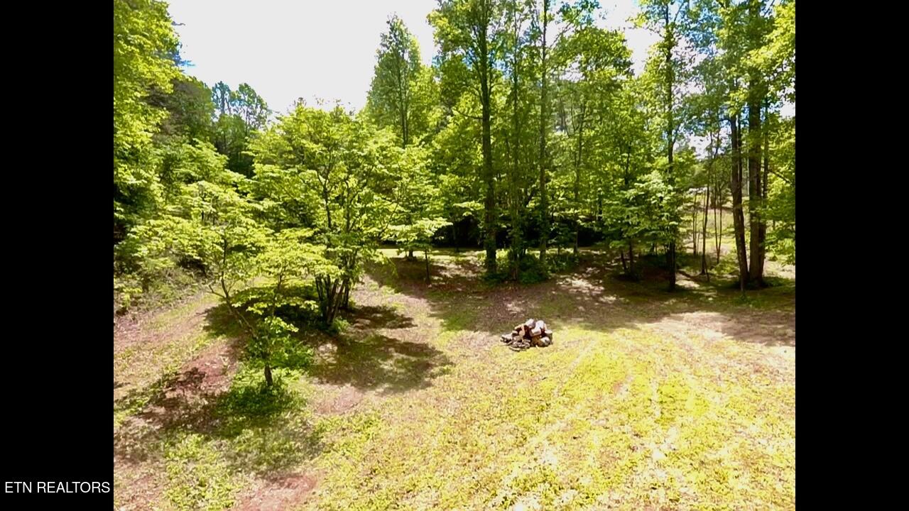 1294 Rafter Road Tellico Plains, TN 37385 - Photo 54 of 59 IMG_4716
