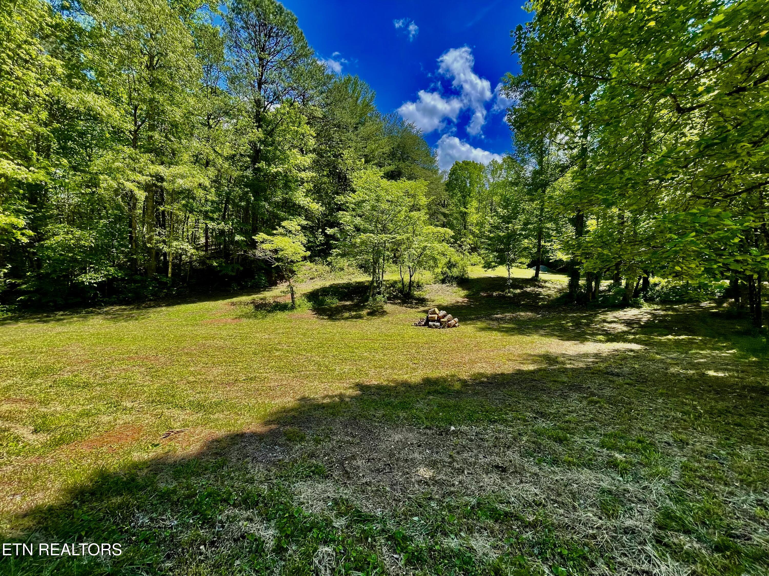1294 Rafter Road Tellico Plains, TN 37385 - Photo 8 of 59 IMG_4771