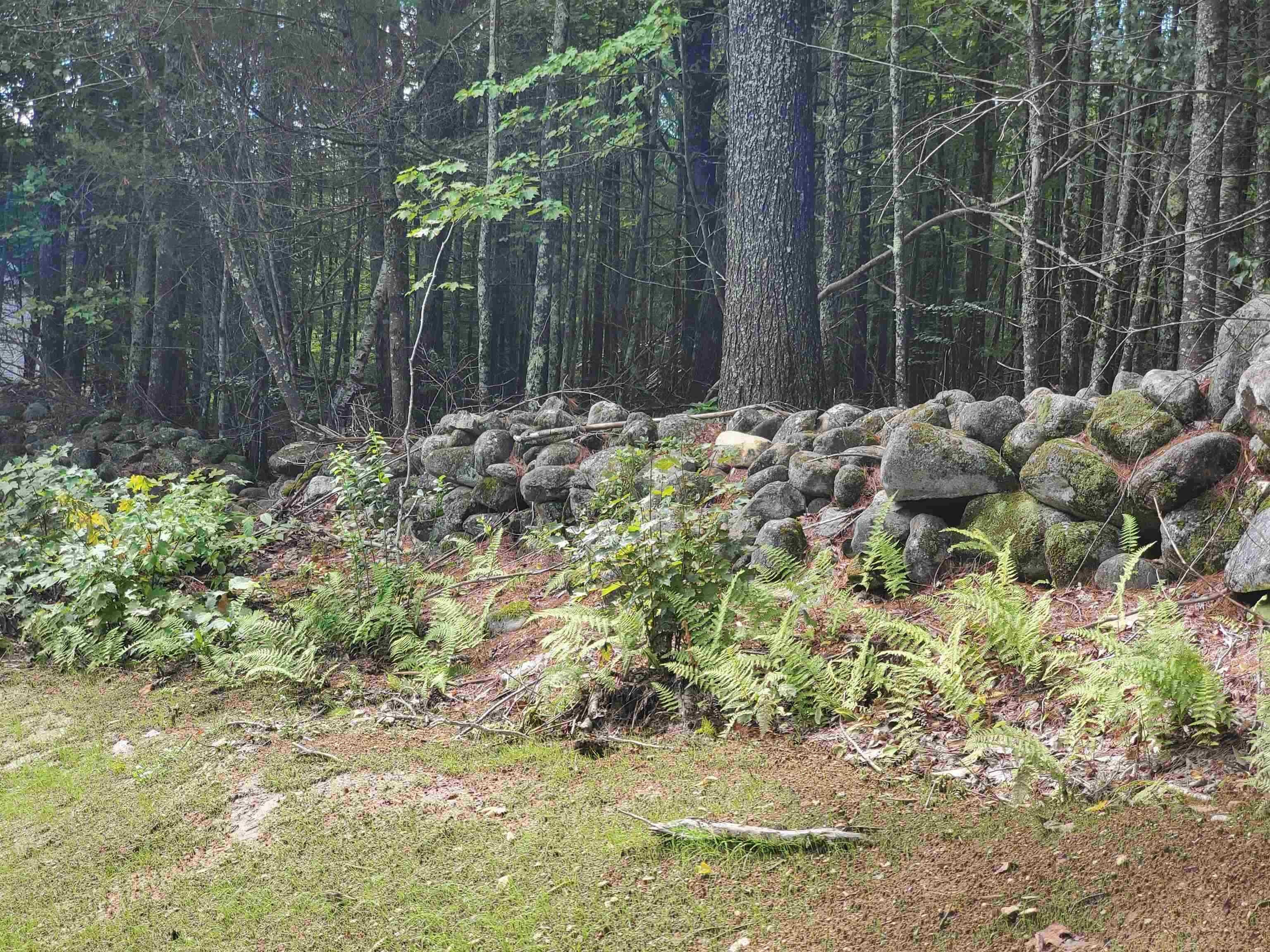138 Deer Meadow Road Pittsfield, NH 03263 - Photo 2 of 2