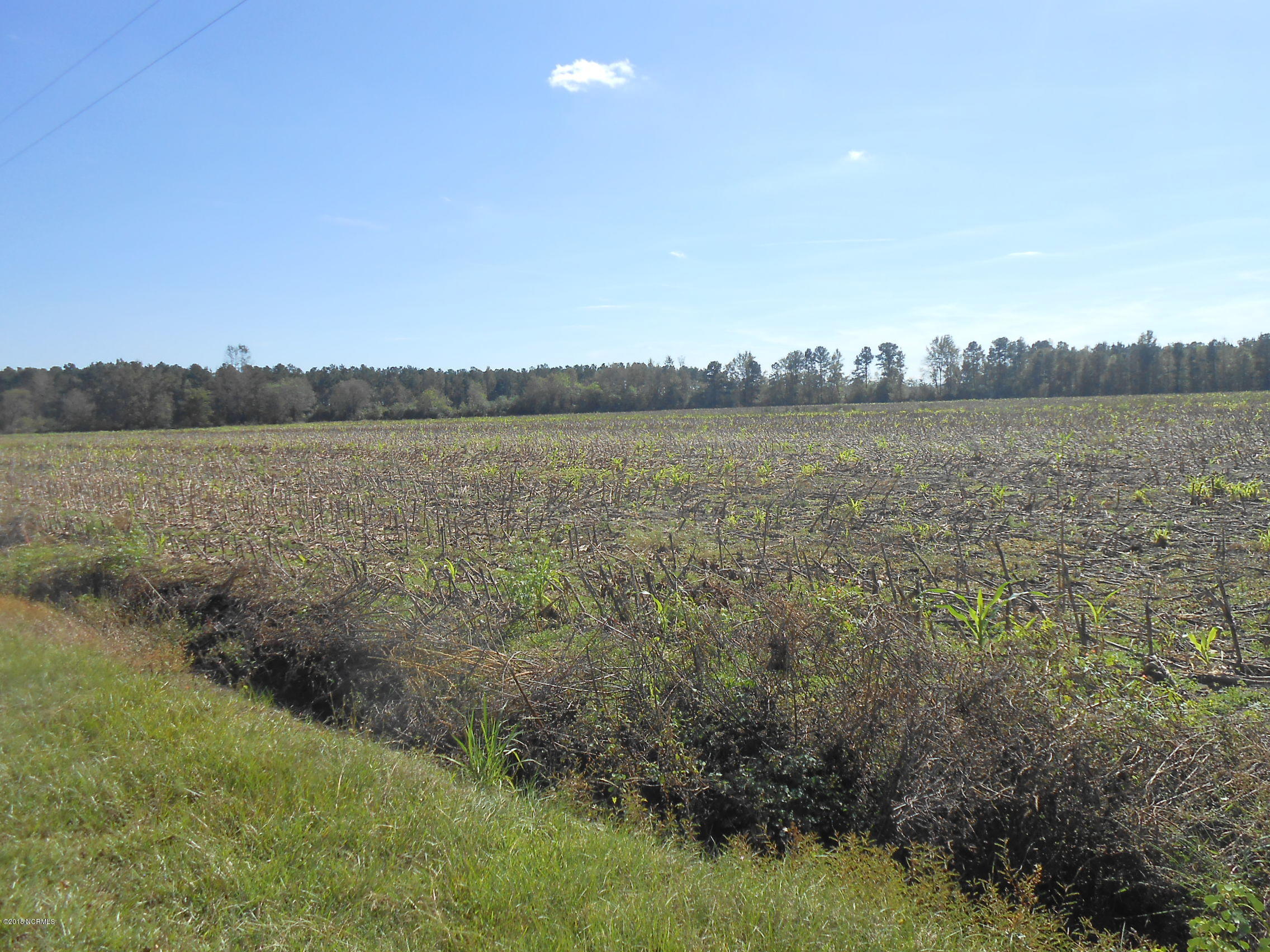 0 Martin Road Lumberton, NC 28358 - Photo 5 of 10 DSCN6277