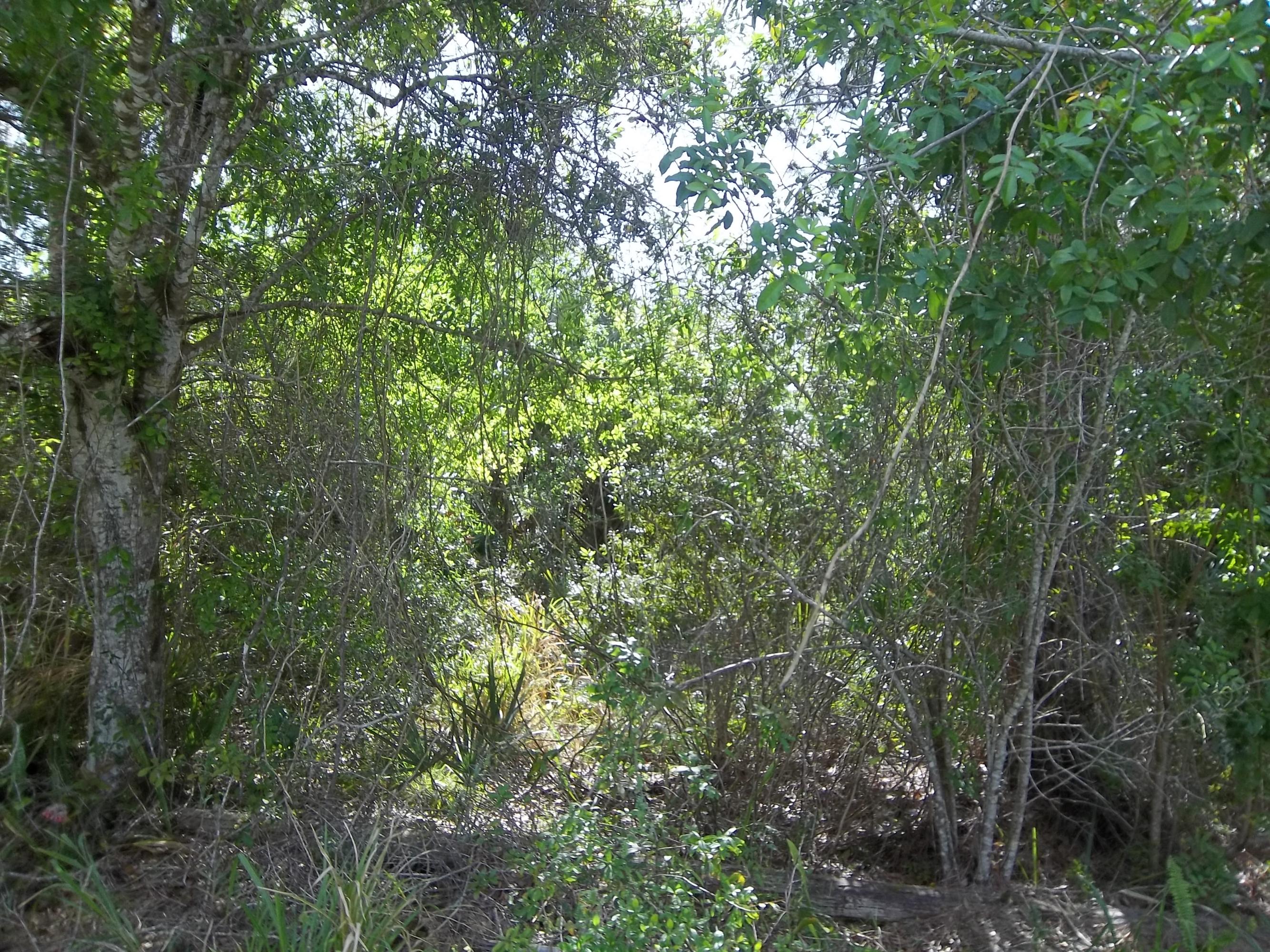 0 East Midway Road Fort Pierce, FL 34982 - Photo 9 of 15 009