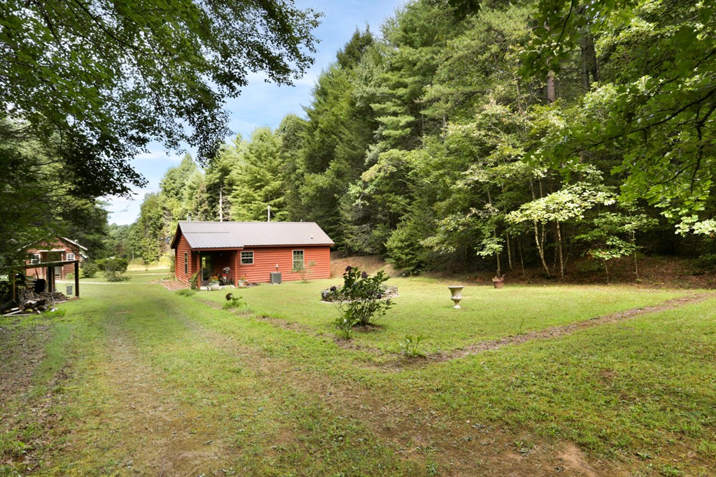 1124 River Hill Road Murphy, NC 28906 - Photo 12 of 52 Gallery Image 12