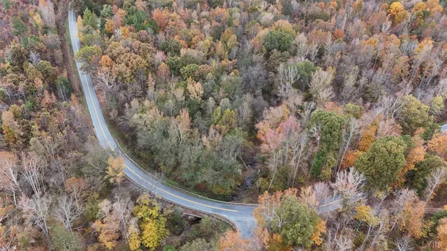 a view of a forest with a house in a forest