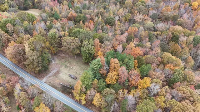 a view of a yard with a tree