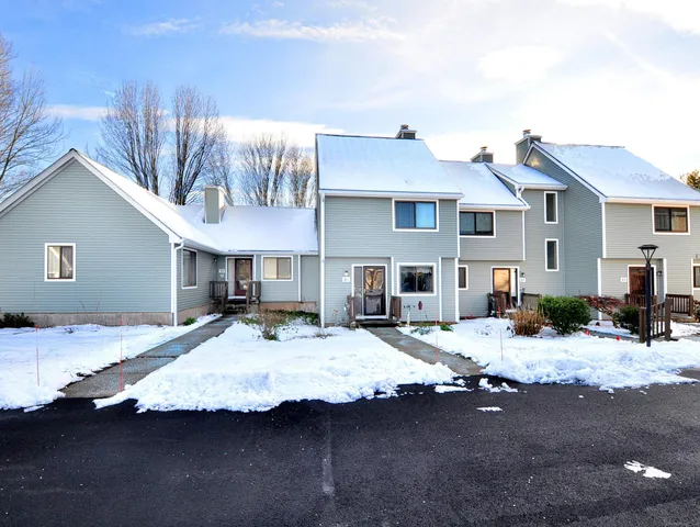 a view of a house with snow in the background