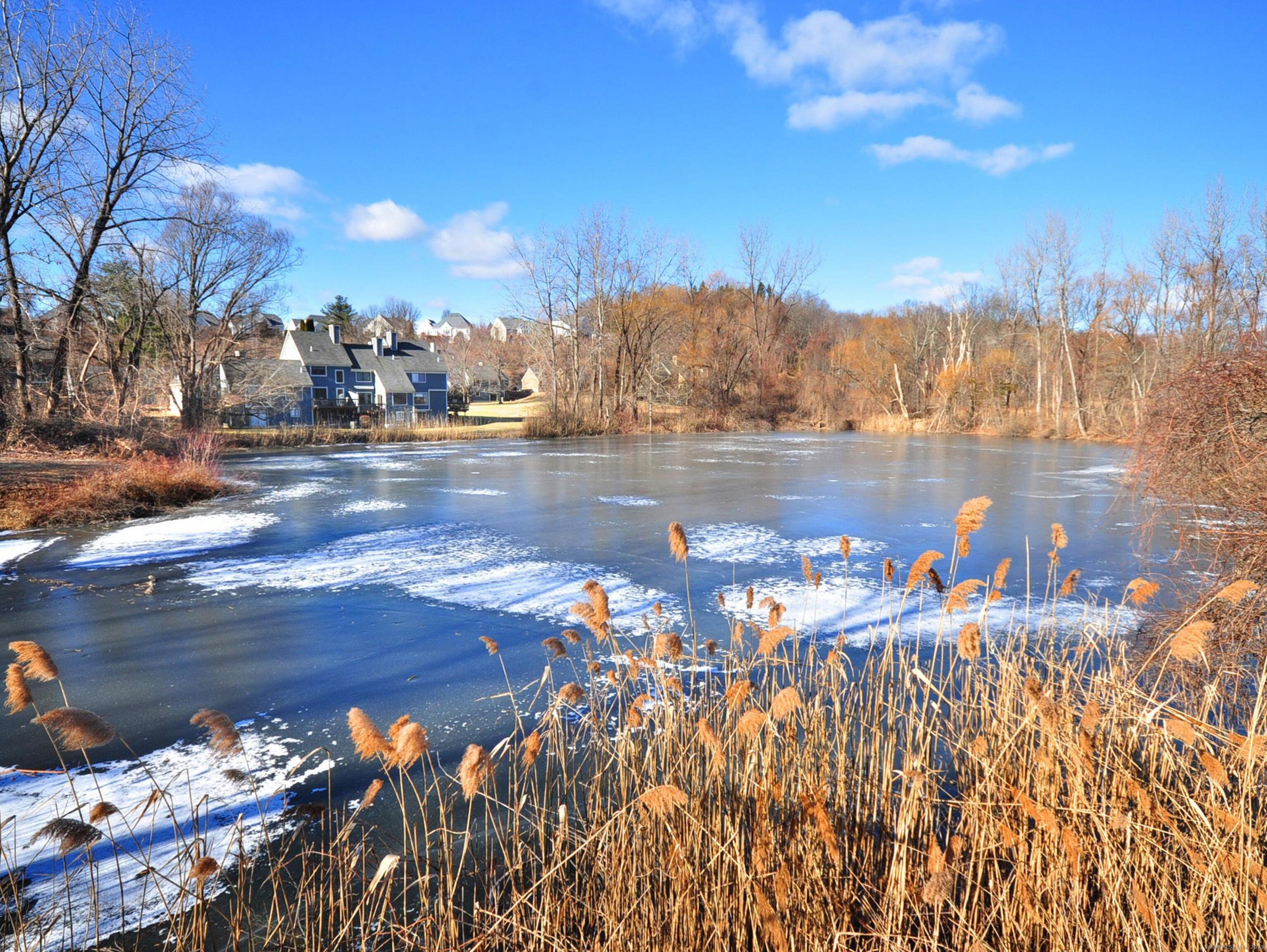 81 Silo Way, Unit 81 Bloomfield, CT 06002 - Photo 34 of 37 a view of a lake with houses