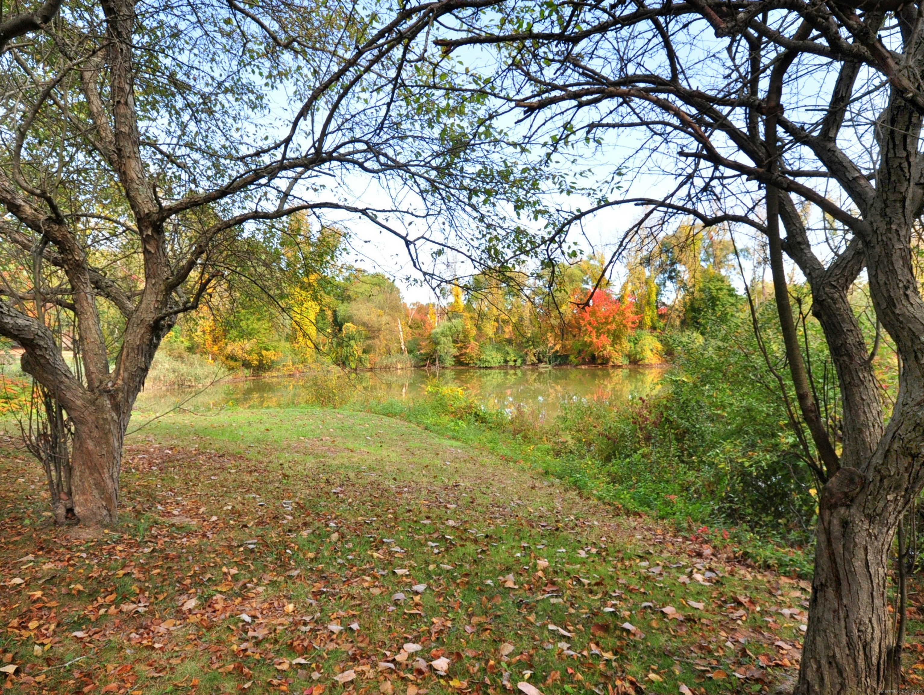 81 Silo Way, Unit 81 Bloomfield, CT 06002 - Photo 35 of 37 a view of a yard with a tree