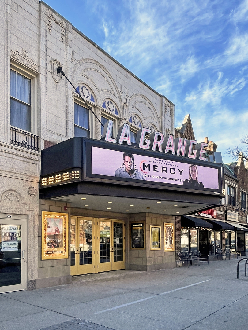 4341 Madison Avenue Brookfield, IL 60513 - Photo 24 of 29