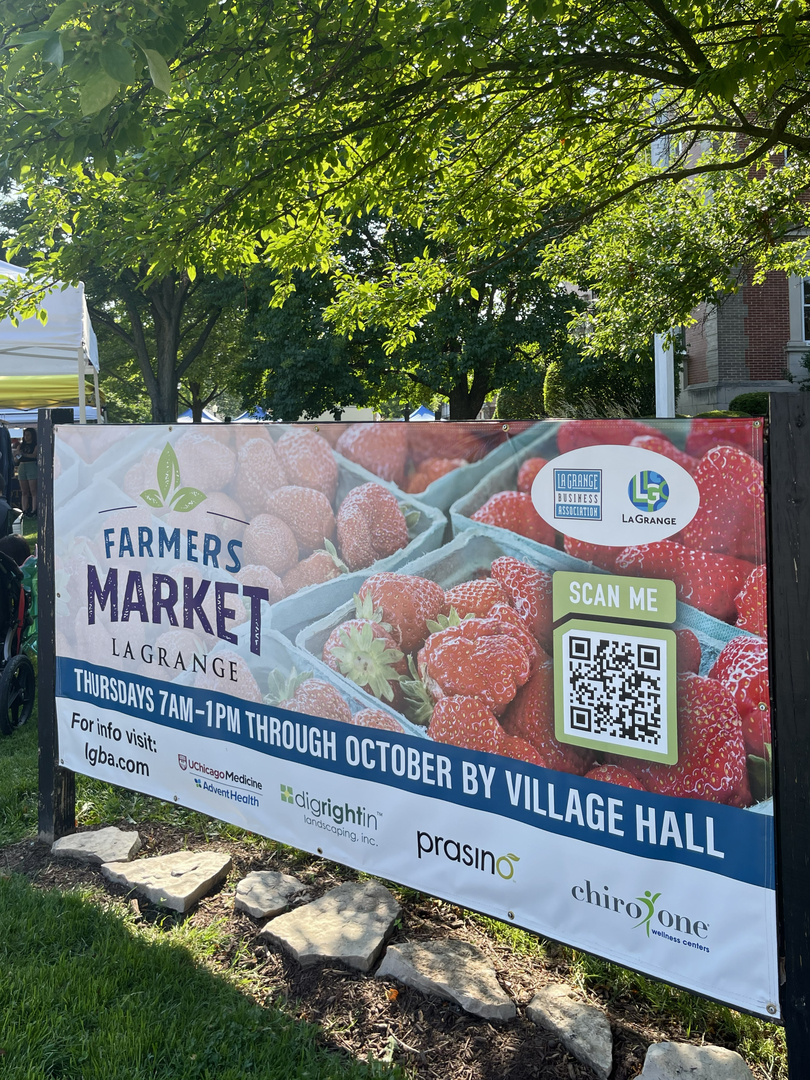 4341 Madison Avenue Brookfield, IL 60513 - Photo 26 of 29