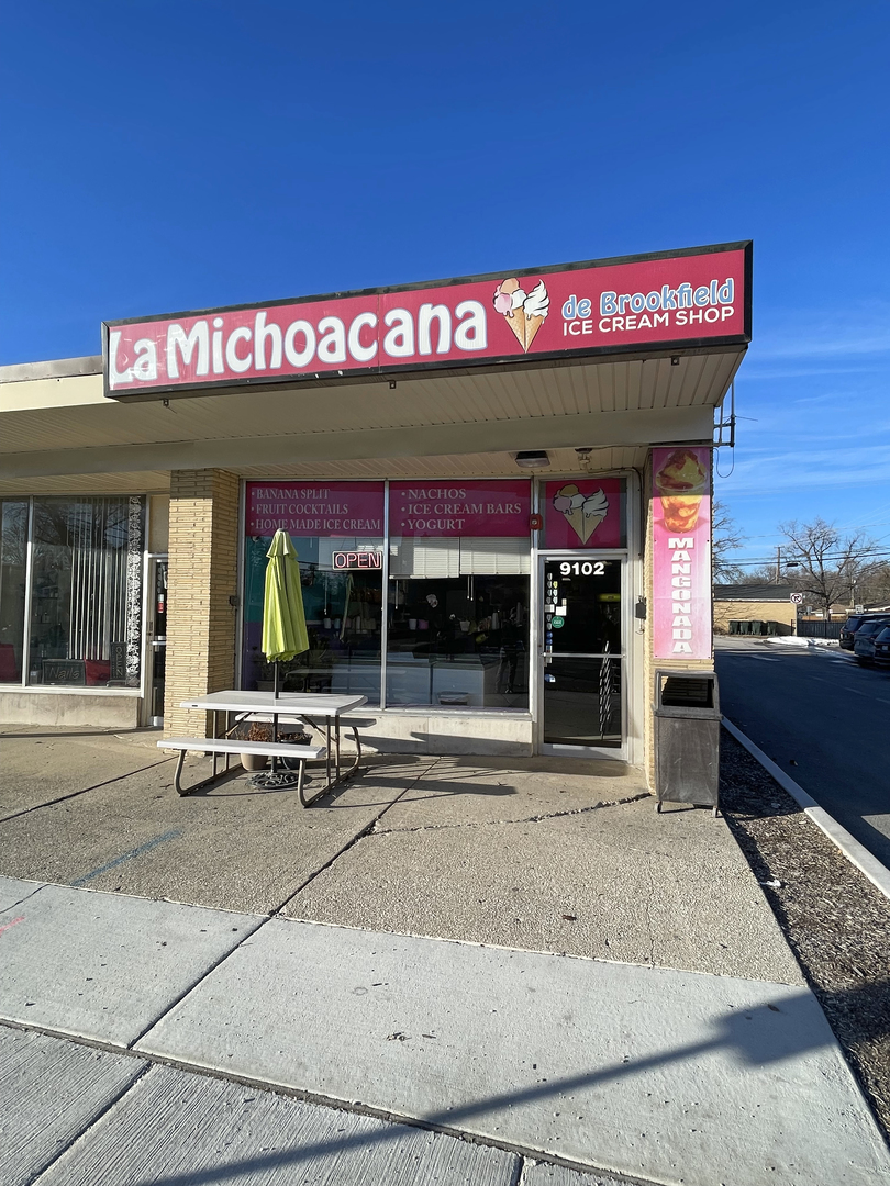 4341 Madison Avenue Brookfield, IL 60513 - Photo 28 of 29