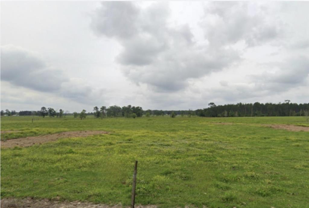 0 Arthur Marcantel Road Dequincy, LA 70633 - Photo 1 of 3