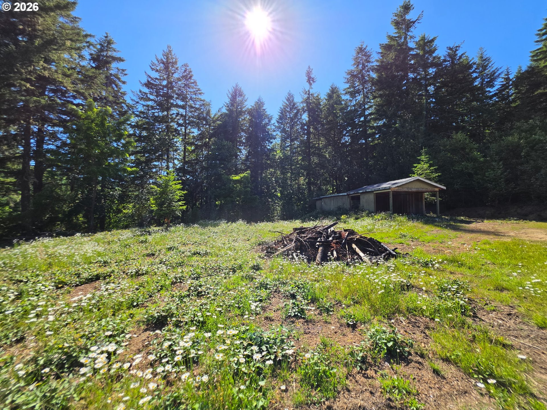 25797 Siuslaw Road Lorane, OR 97451 - Photo 7 of 14