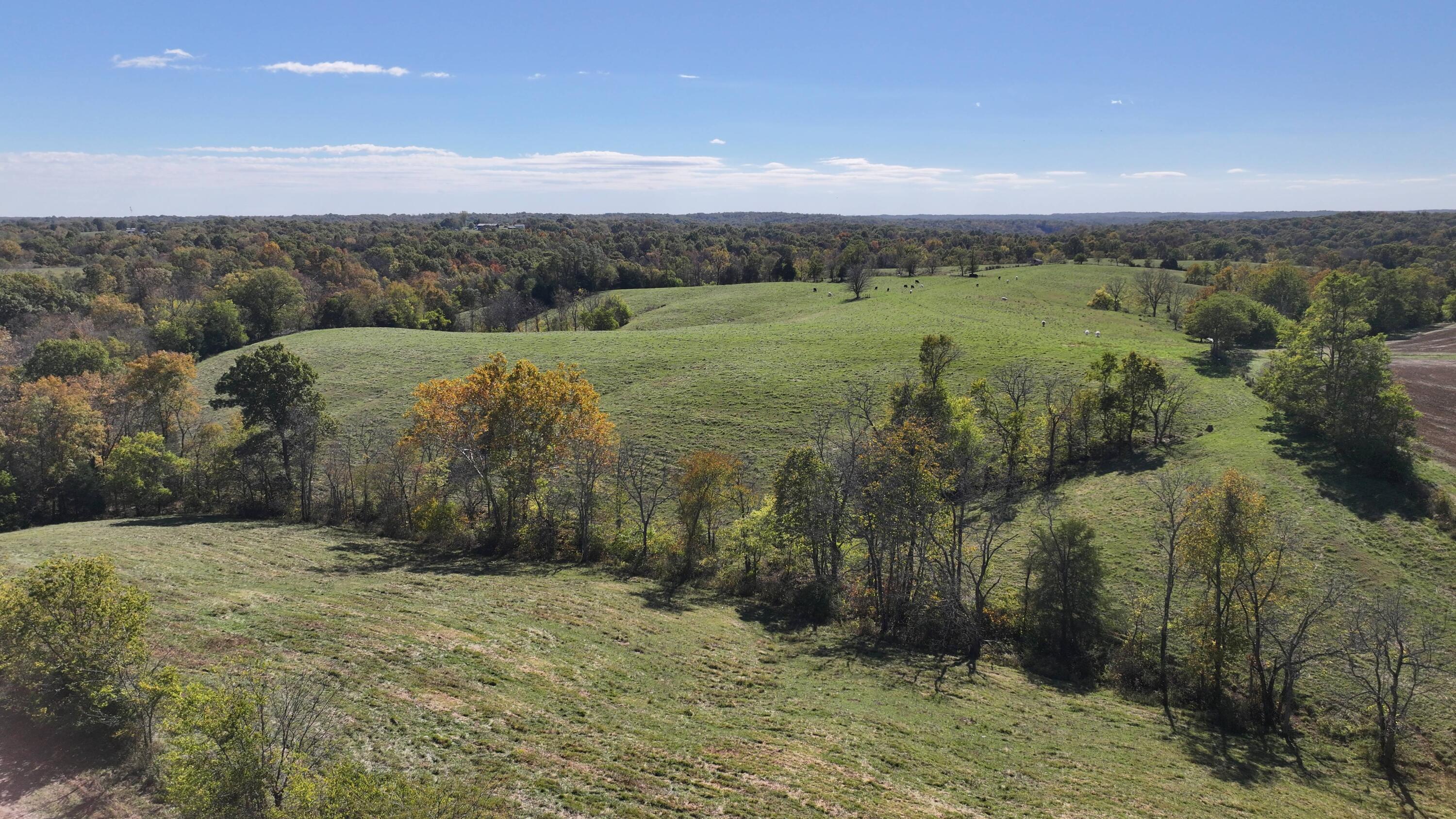 3575 Greenup Road Owenton, KY 40359 - Photo 32 of 49
