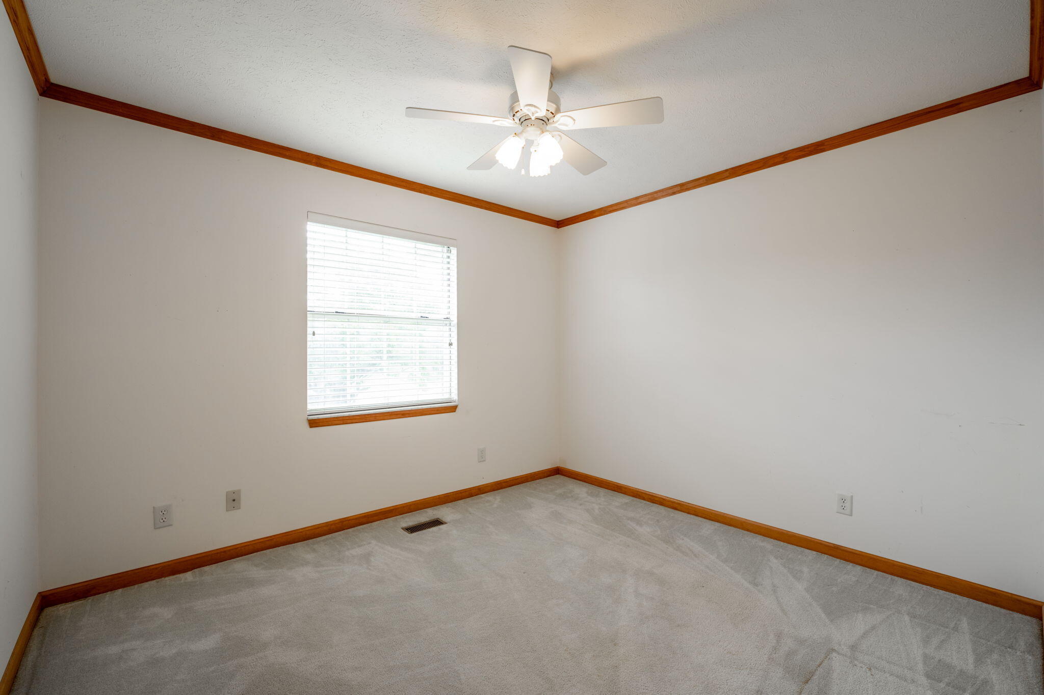 331 Virginia Street Dayton, TN 37321 - Photo 15 of 25 11-web-or-mls-DSC_0377
