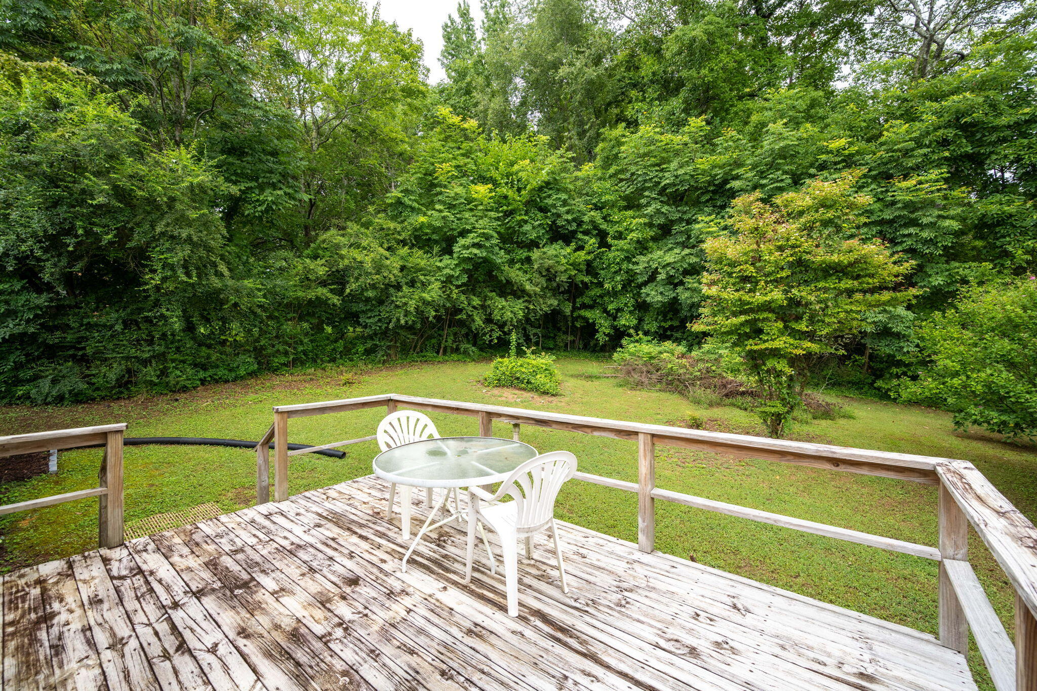 331 Virginia Street Dayton, TN 37321 - Photo 23 of 25 26-web-or-mls-DSC_0357