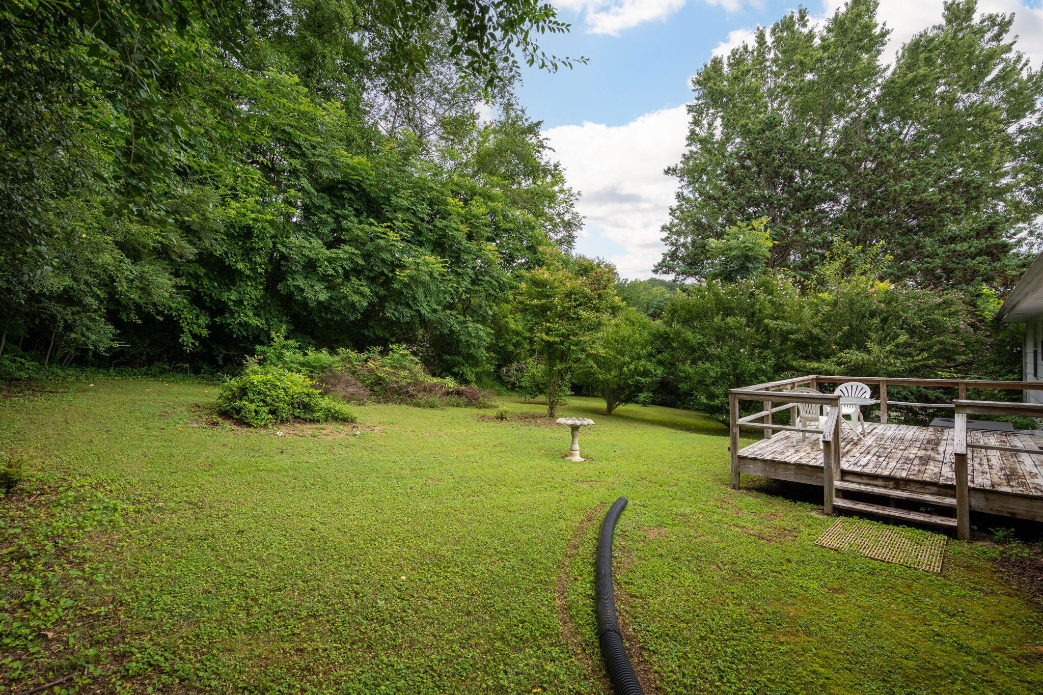 331 Virginia Street Dayton, TN 37321 - Photo 25 of 25 27-web-or-mls-DSC_0356