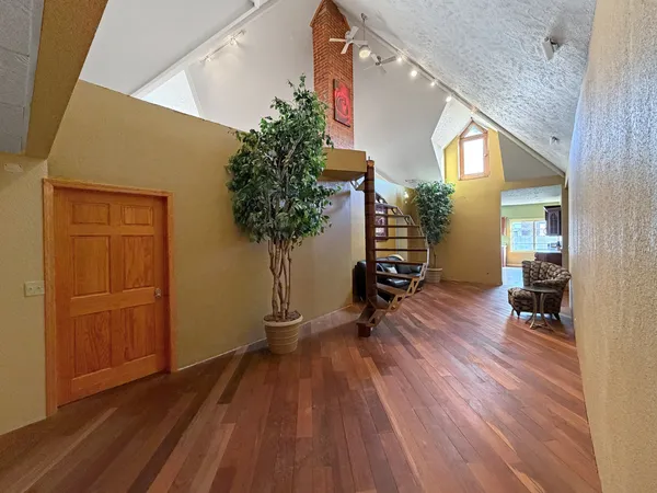 a living room with furniture and a potted plant