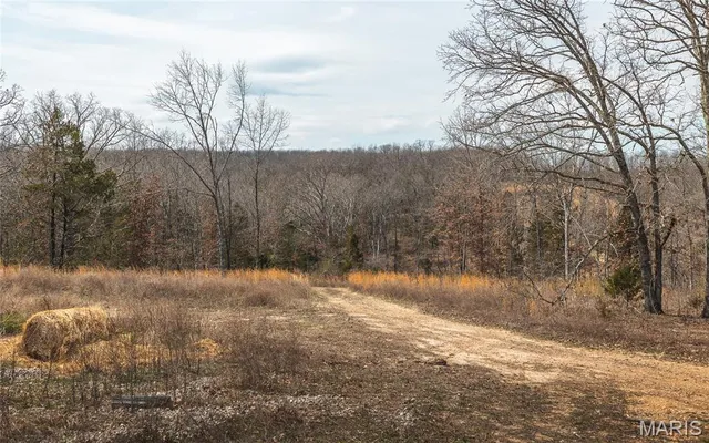 $300,000 | 12855 Chicago Road, Dixon, MO 65459