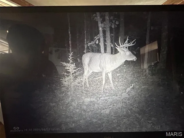 $300,000 | 12855 Chicago Road, Dixon, MO 65459