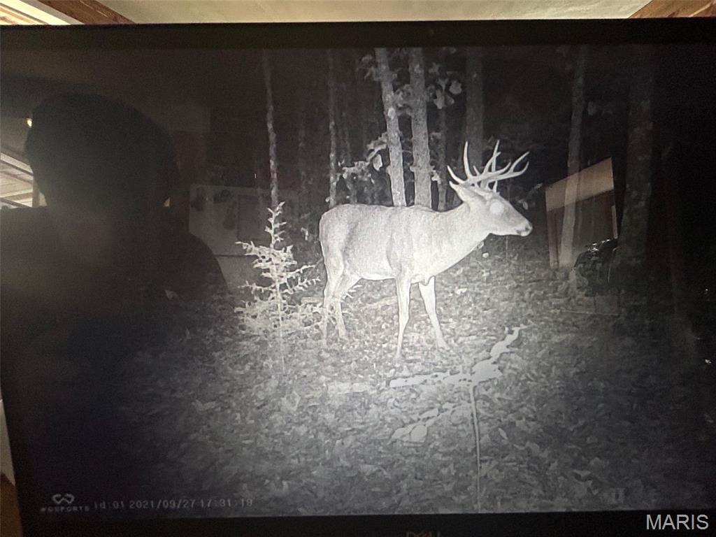 12855 Chicago Road Dixon, MO 65459 - Photo 28 of 30