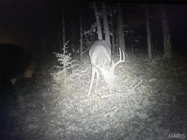 $300,000 | 12855 Chicago Road, Dixon, MO 65459