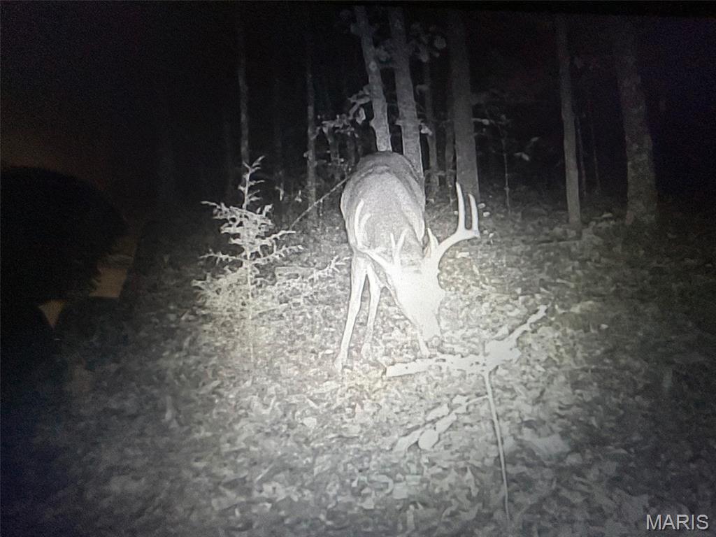 12855 Chicago Road Dixon, MO 65459 - Photo 29 of 30