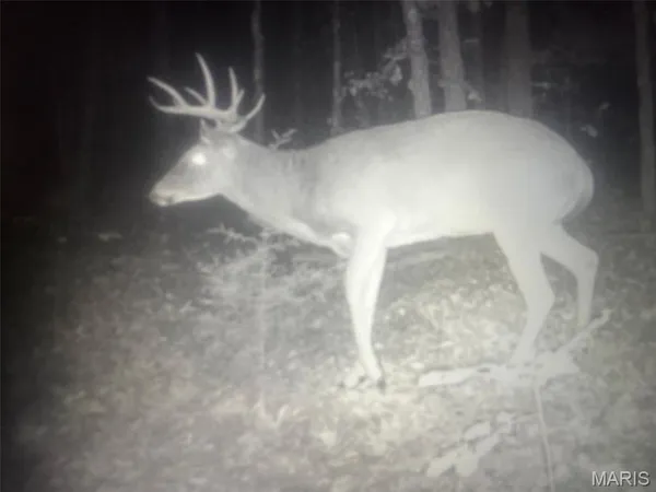 $300,000 | 12855 Chicago Road, Dixon, MO 65459