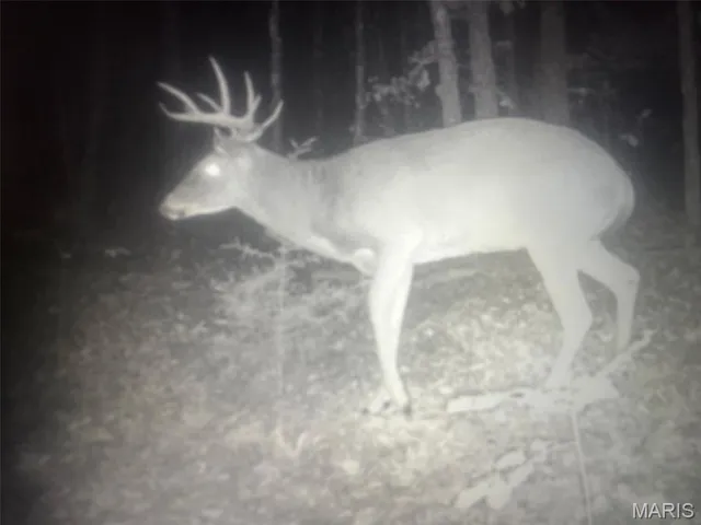 $300,000 | 12855 Chicago Road, Dixon, MO 65459