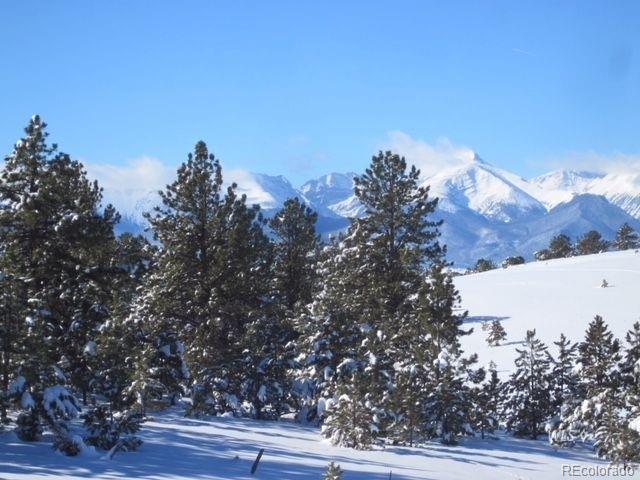 1235 Schulze Ranch Road Westcliffe, CO 81252 - Photo 14 of 39 Gallery Image 14