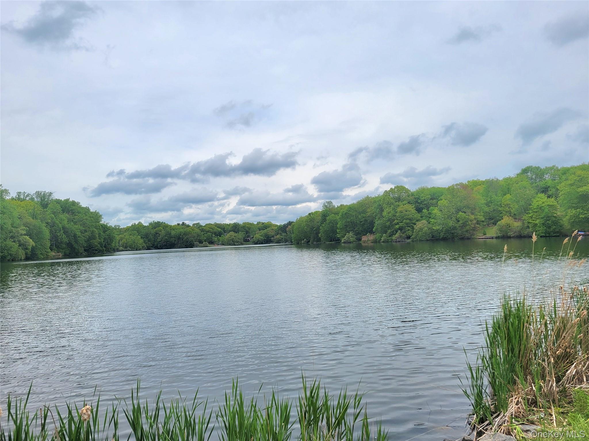 46 Cortlandt Road Mahopac, NY 10541 - Photo 32 of 32 Lake CasseExpansive waterfront featuring serene water and lush green trees