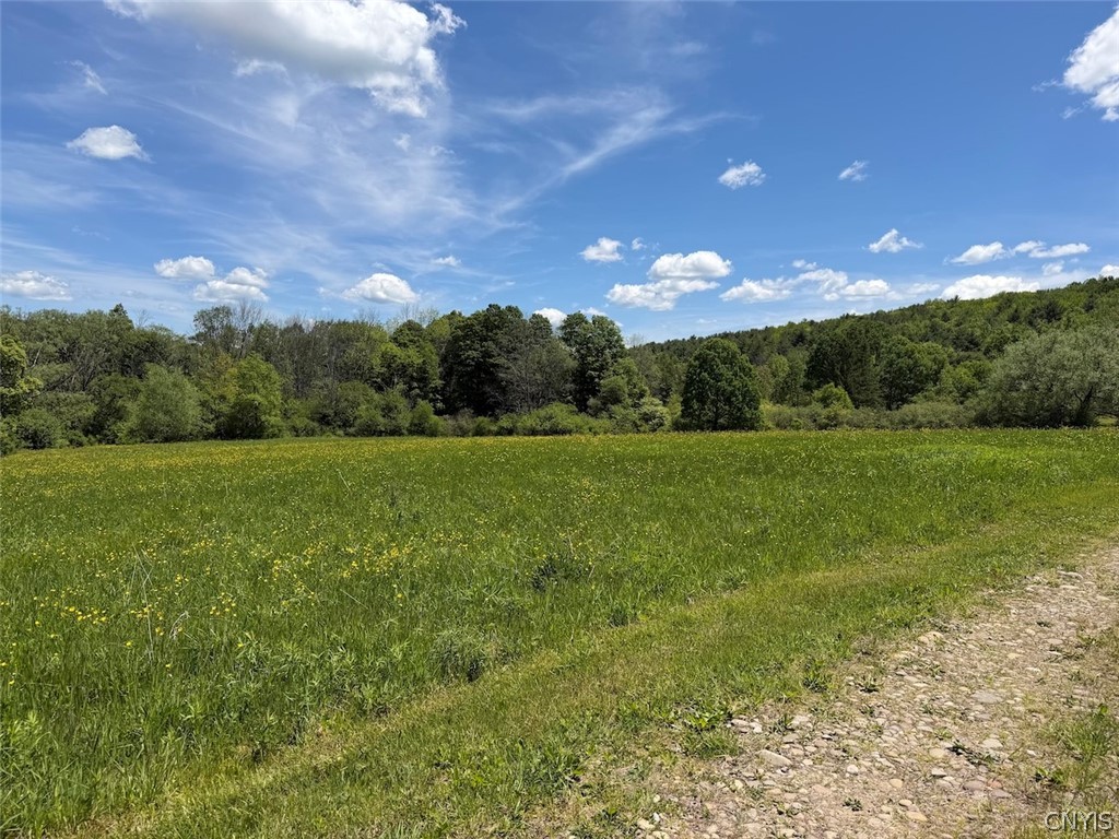 North Branch Road Friendship, NY 14739 - Photo 17 of 27
