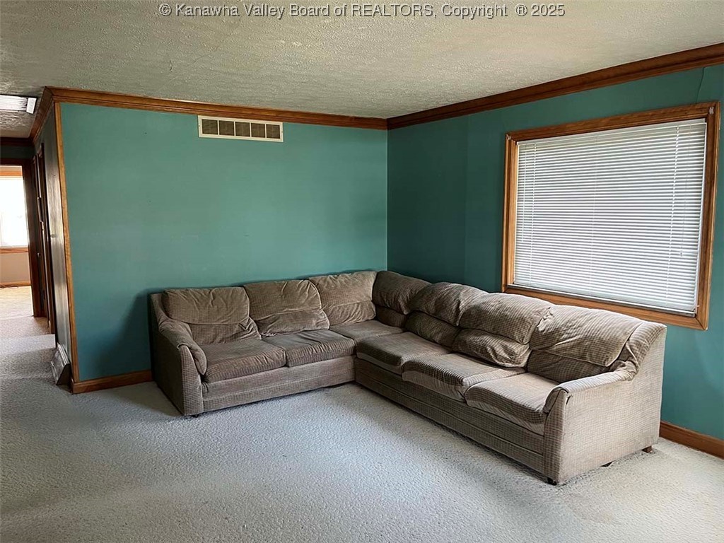 315 Viola Road Charleston, WV 25314 - Photo 2 of 24 Gallery Image 2